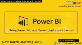 Microsoft Power BI Training Online Courses | BISP, Floral City