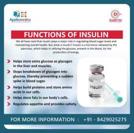 Discover the Key Functions of Insulin, Lucknow