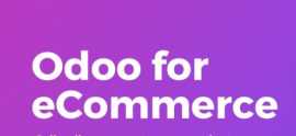 Get Your Website Design in Odoo, New York