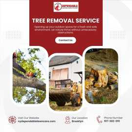 Tree Removal Service in Brooklyn, Brooklyn