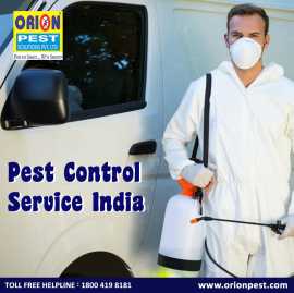 Top Pest Control Services in India - Orion Pest Co, Kolkata