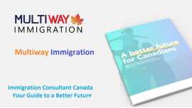 Future with a Canada Immigration Consultant, Edmonton