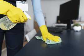 How to Find the Best Area Rug Cleaning in New York, Brooklyn