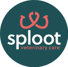 Sploot Veterinary Care - LoDo, Denver