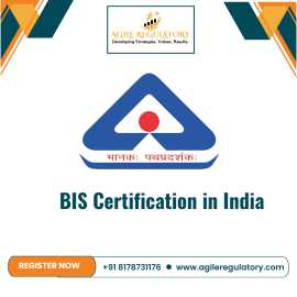 BIS Consultant in UP, Noida