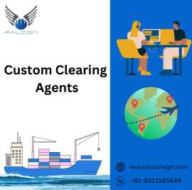 Custom House Agent In Delhi, New Delhi