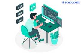 Acecoderz - Top Web Development Services Provider , Lucknow