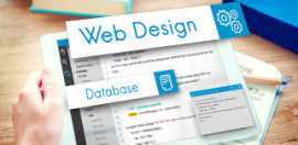 Explore Best Web Development Agency in Delhi , Delhi