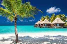 American Airlines vacation packages