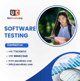 Learn Software Testing: Step into the IT World, Pune