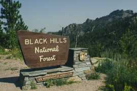 Make a Monumental Statement with Monument Signs, Carson