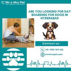 Best Day Boarding For Dogs in Hyderabad, Hyderabad