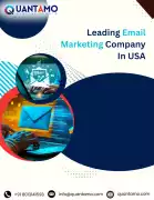 Website Development Company USA | Quantamo, Phoenix