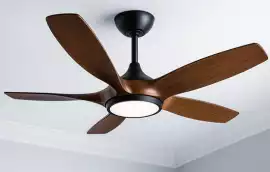 High Premium Creativity Designer Fan, $ 0