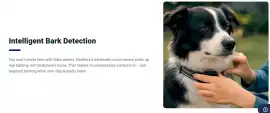NooBark Anti-Bark Collar Australia - [Wait! Read F, Acacia Ridge