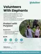 Volunteer with Elephants in Cambodia! 