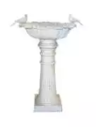 Bring Charm to Your Garden with Beautiful Bird Bat, Dandenong