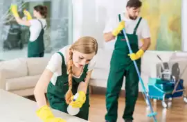 Professional Rug Cleaning in Charlotte | XP Clean , New York