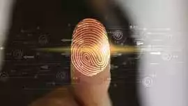 Certified Criminal Record Check Ontario Online - T, Toronto