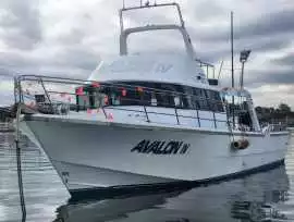 Cruises From Sydney