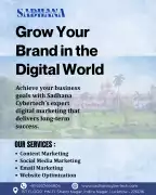 Professional Social Media Marketing in Lucknow, Lucknow