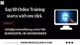 SAP SD Module Course with Placement: Build a Rewar, Bengaluru