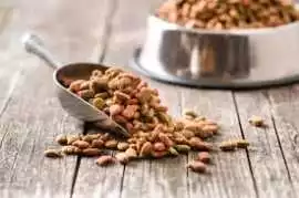 Discover the Best Dog Food in Singapore , Woodlands New Town