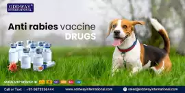 Buy B2B Wholesale Anti Rabies Vaccine in Philippin, ₹ 0