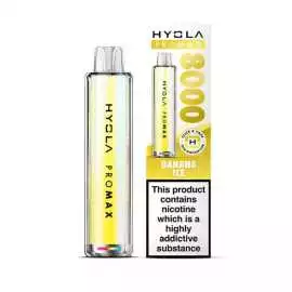 Enjoy High-Quality Vaping with Hyola Pro Max 8000 , Hayes