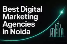 Best Digital Marketing Agency in Noida for Busines, Noida