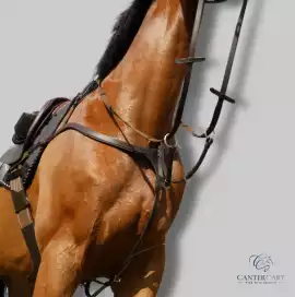 Horse Tack, Supplies and Equipment, $ 0