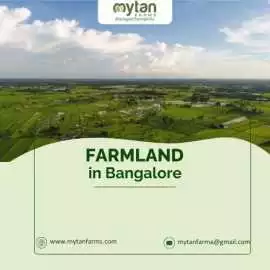 Why Farmland in Bangalore Is the Smart Investor’s , Bengaluru