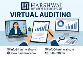 Affordable Virtual Auditing Services for Business, San Diego