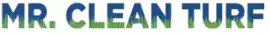 Premium Residential Artificial Turf Services, Phoenix