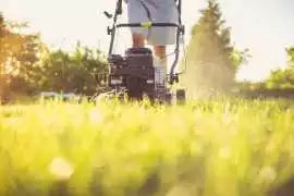 Edmonton’s Trusted Lawn Care & Weed Control Ex, Edmonton