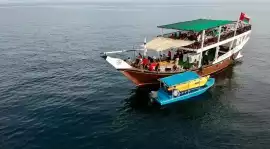 Musandam Dibba Escape from Dubai, Dubai