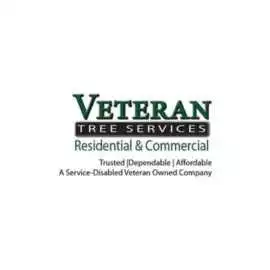 Veteran Tree Services: Lot Clearing Made Simple in, Sammamish