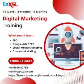Best Digital Marketing Training in Mohali , Mohali