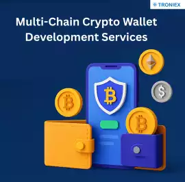 Multi-Chain Crypto Wallet Development Services, Madurai
