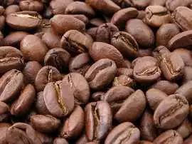 Awaken Your Senses with a Cup That Cares, Bengaluru