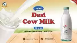 Desi cow milk in Bangalore     , ₹ 120