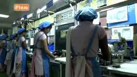 Automotive lamps manufacturer