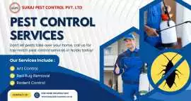 Contact Noidas Trusted Pest Control Services, Noida