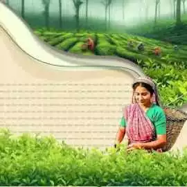 Free Sample Of Ngo Annual Report, Kolkata