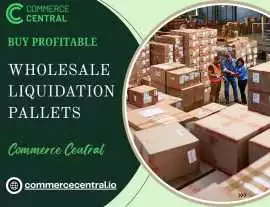Buy Profitable Wholesale Liquidation Pallets , Austin