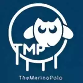 The Merino Polo, $ 0