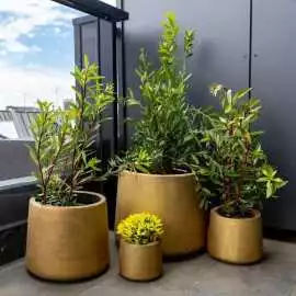 Bring Timeless Natural Beauty to Every Space, $ 119