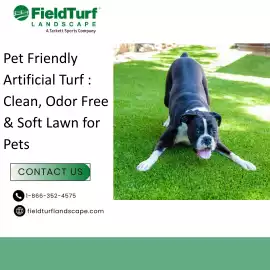 Install Pet Friendly Artificial Turf, Calhoun