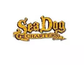 Fishing Sea Dog Charters Marathon FL, Marathon