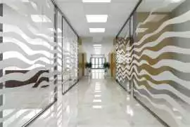 Window Graphics in Madison, WI for Businesses, Madison